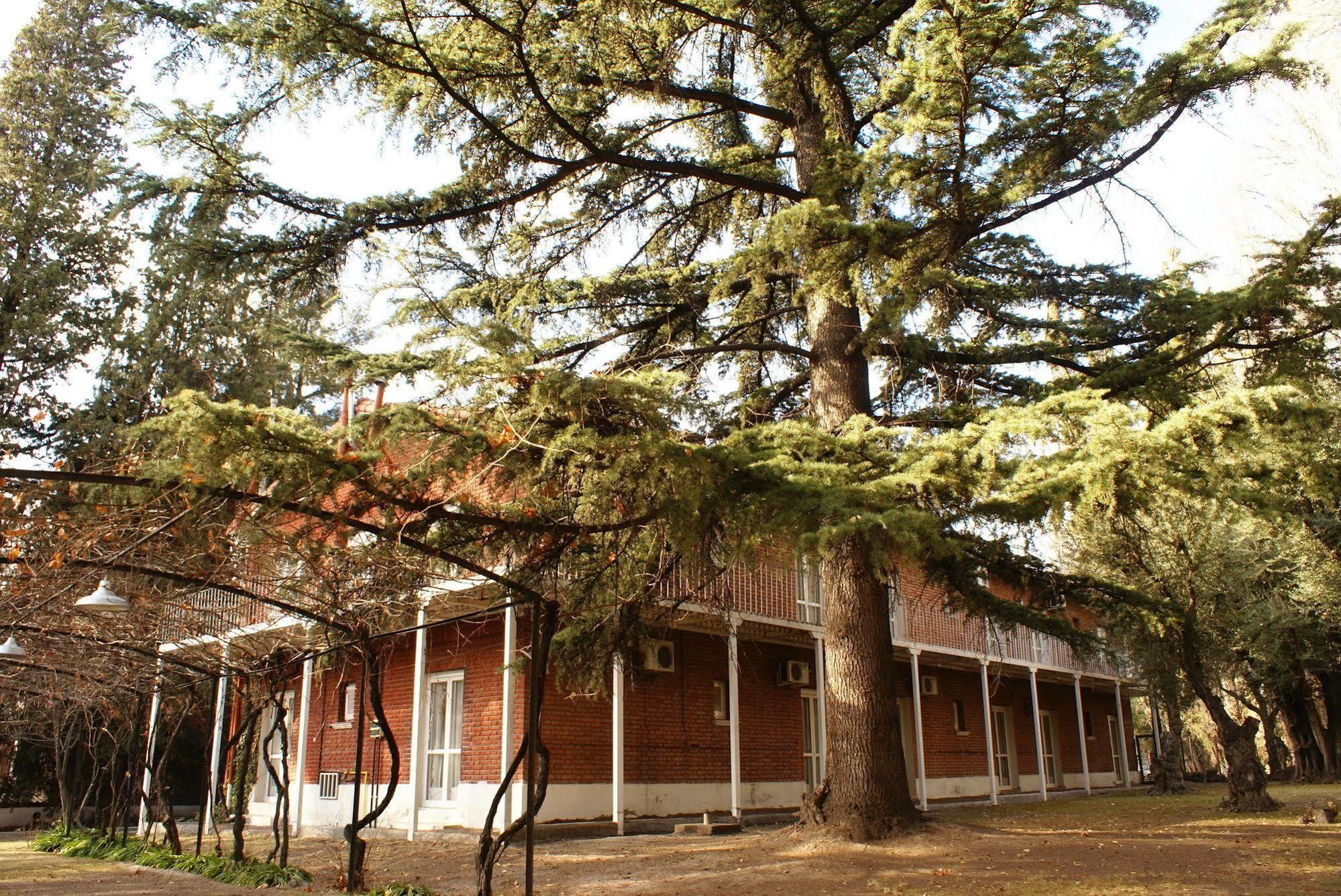 Hotel San Francisco Chacras de Coria Exterior foto
